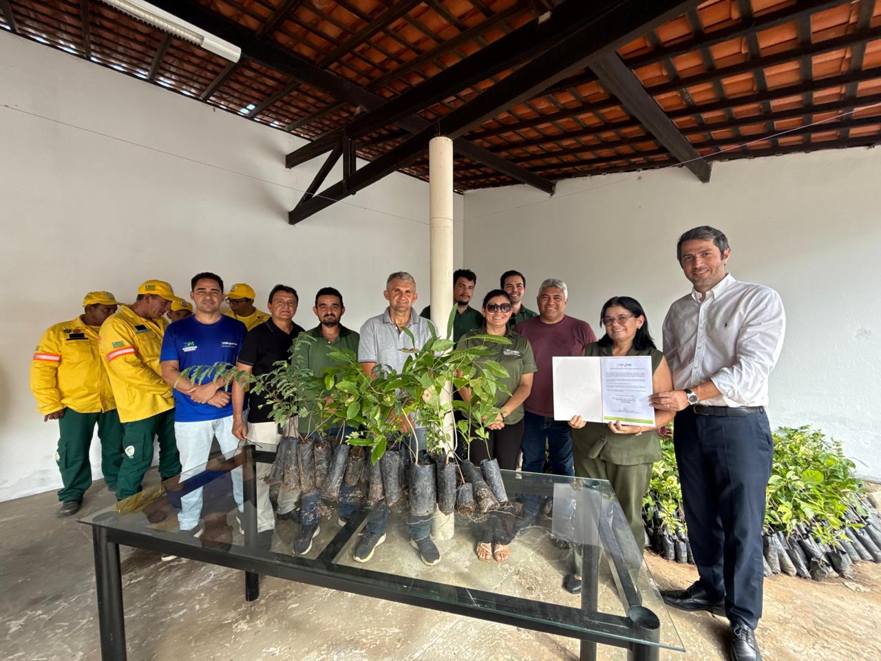 Semarh inicia calendário 2026 com distribuição de 11 mil mudas frutíferas e nativas no Piauí