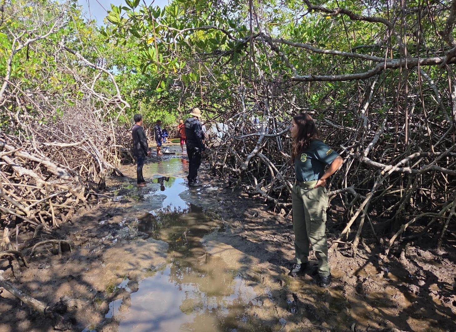 2º período de defeso do caranguejo começa no domingo (1º) e Semarh inicia nova operação no litoral