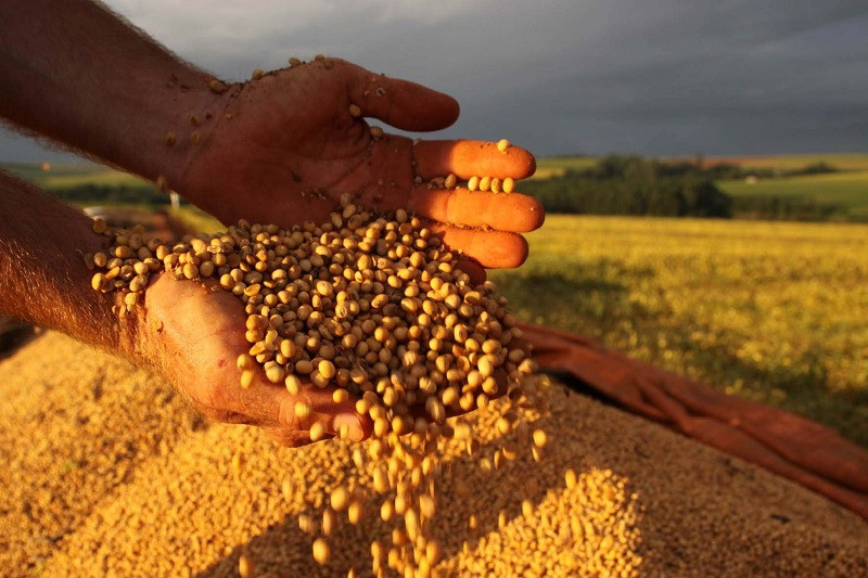 Piauí teve crescimento de 13% na balança comercial em junho e indica recuperação das exportações do Estado