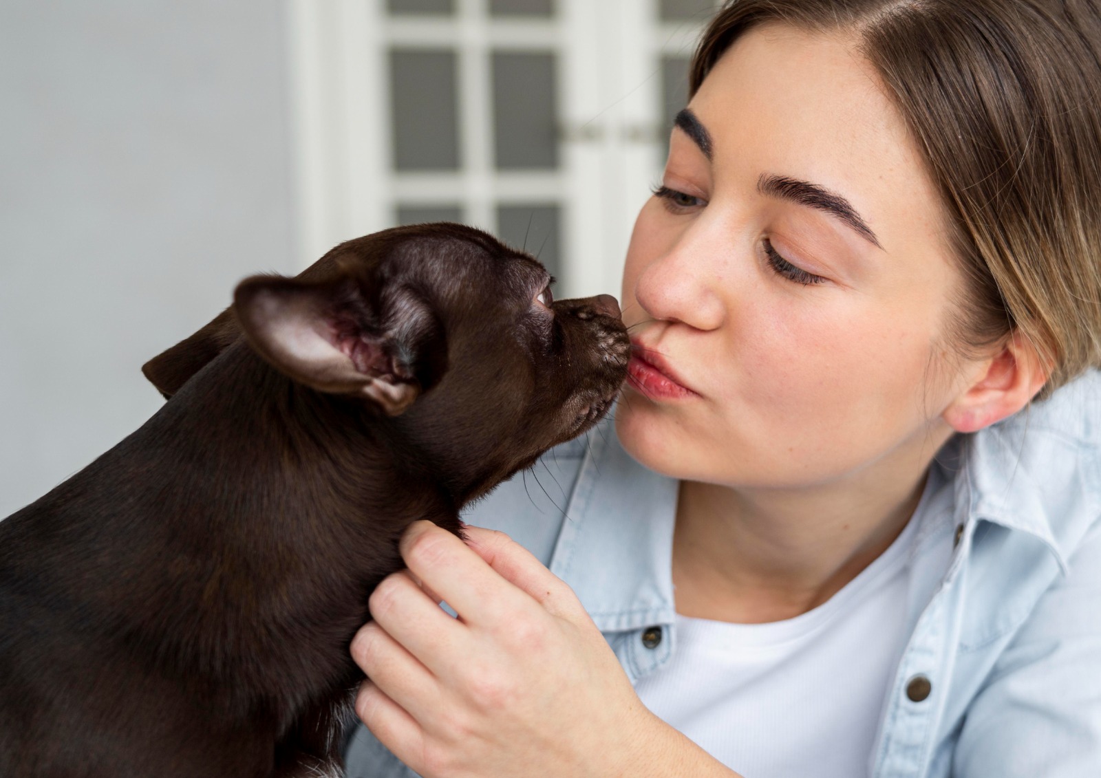 “Lambeijos” dos pets podem ser perigosos à saúde humana?