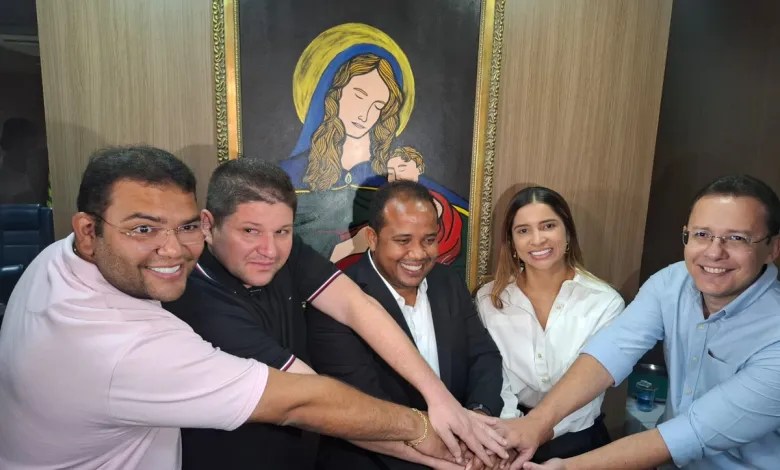 Câmara Municipal de Teresina afasta assessores e padrasto relacionados a vereadora presa em Teresina