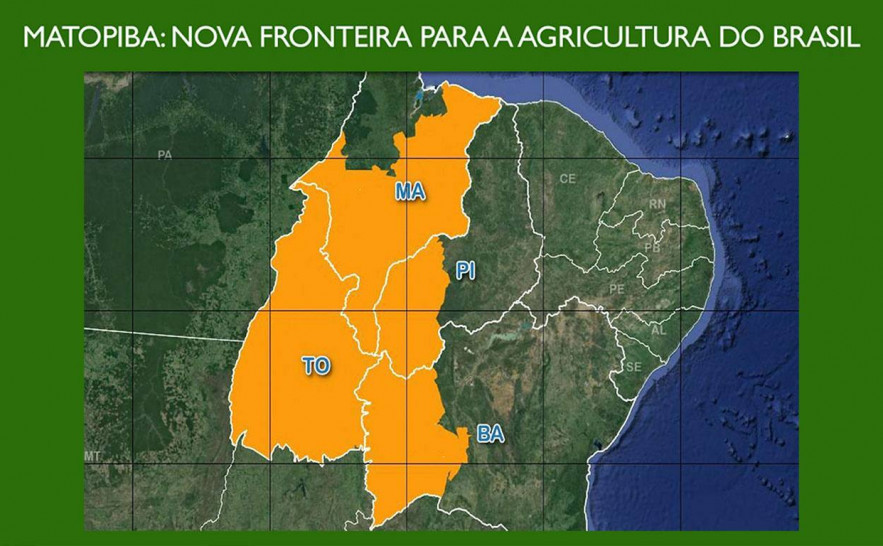 Piauí reduz mais de 12% o desmatamento ilegal em 2024, aponta MapBiomas
