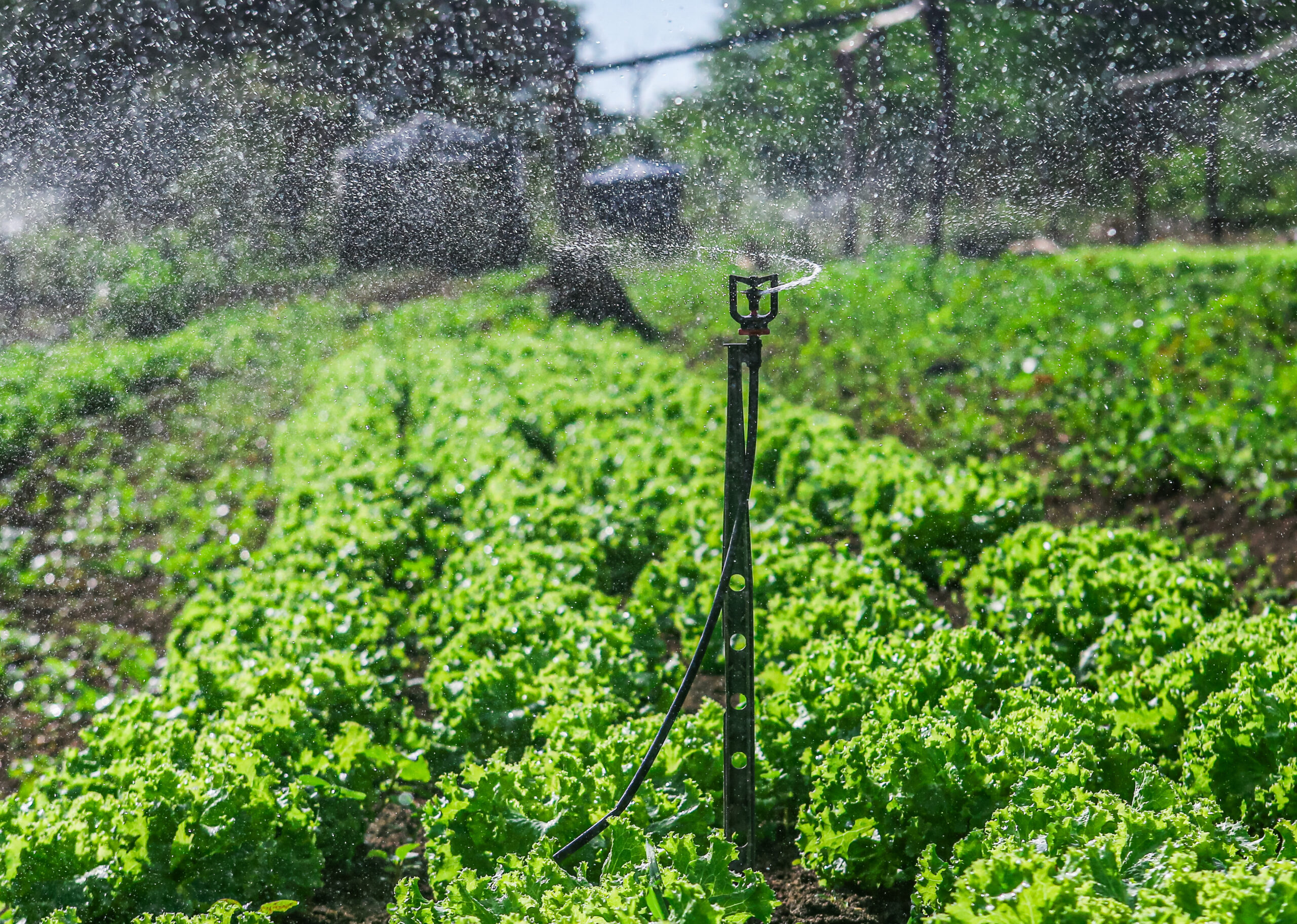 SAF realiza entrega kits de irrigação para agricultores familiares de 49 municípios nesta quinta (29)