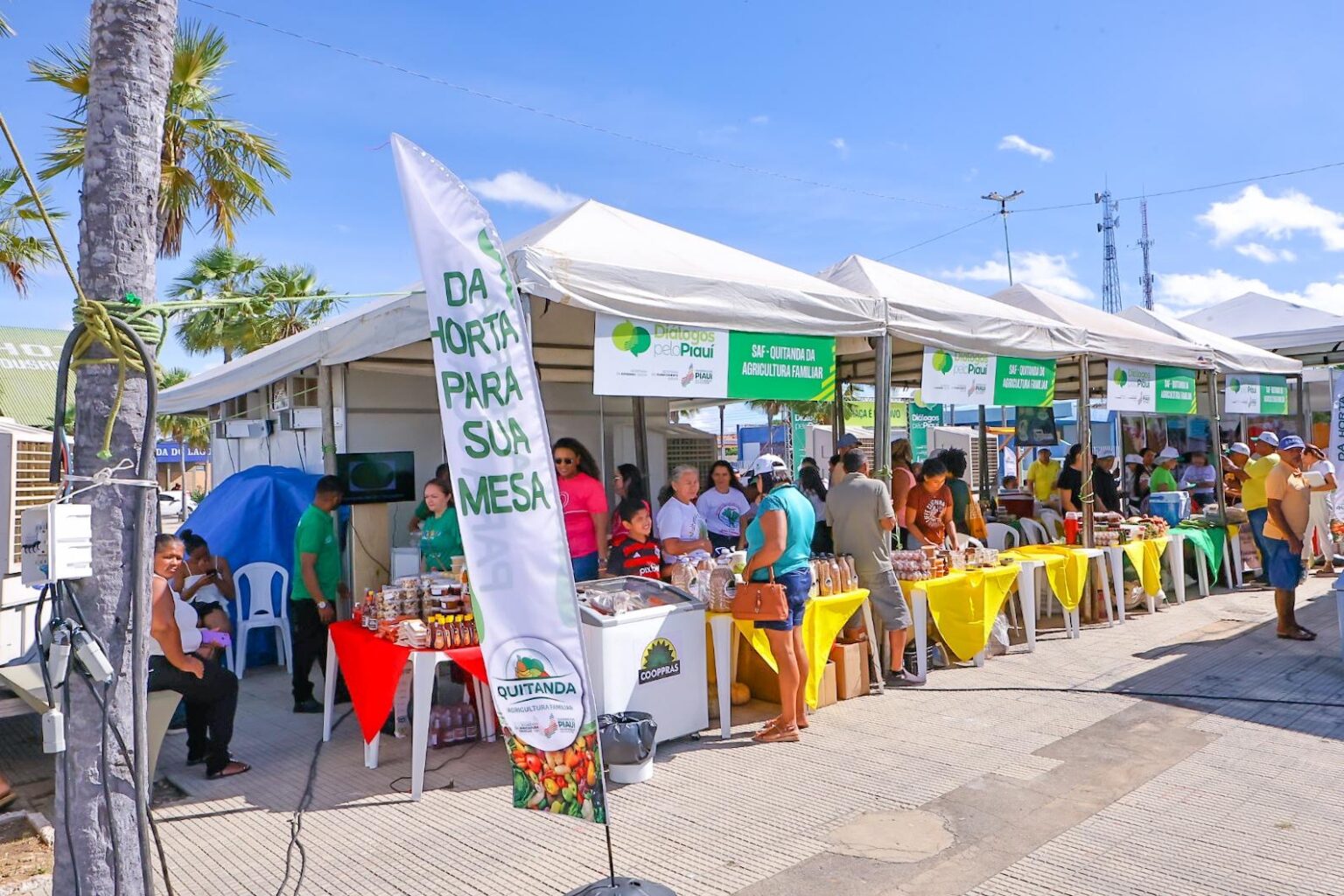 Extrema pobreza cai 50% no Piauí e estado lidera ranking do Nordeste