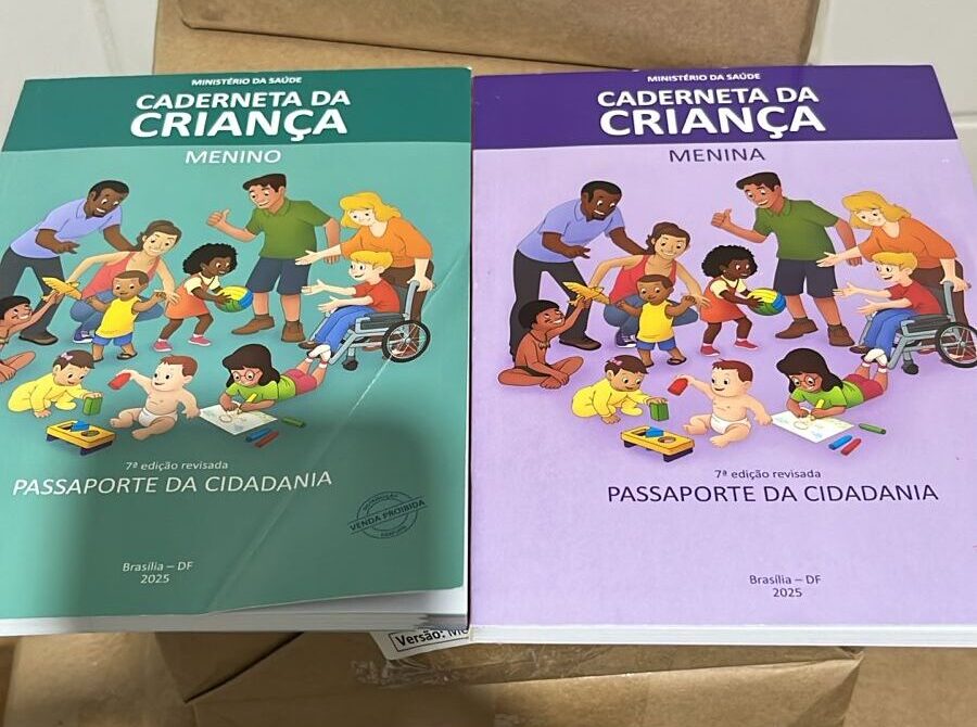 Sesapi distribui mais de 44 mil Cadernetas da Criança para todo o Piauí