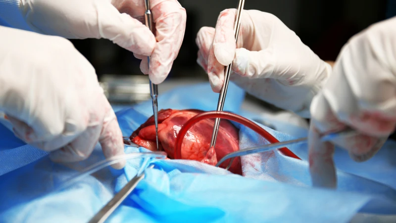 Mais de 570 piauienses aguardam por transplante de órgãos; maioria espera por córneas