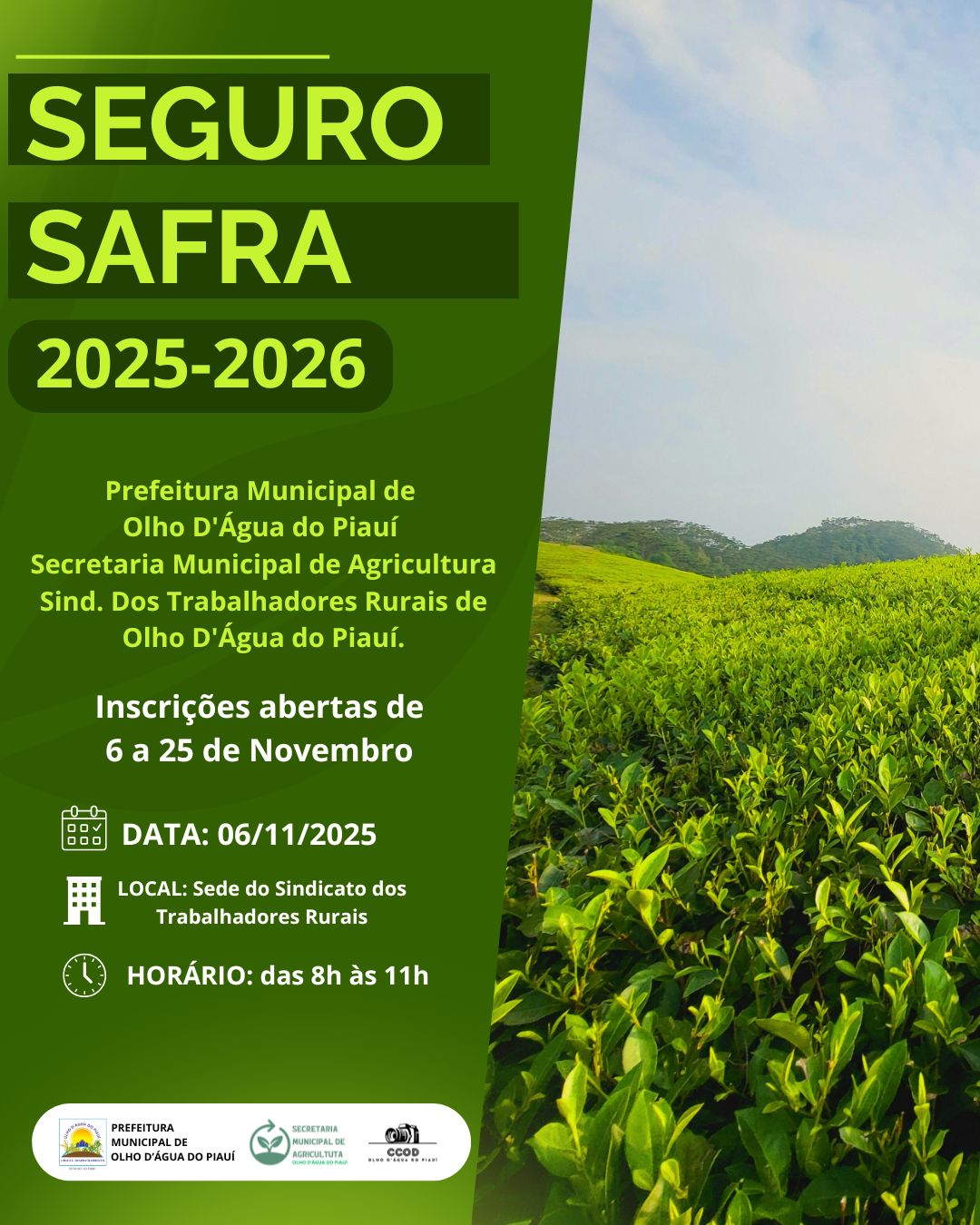 Inscrições abertas para o Seguro Safra em Olho D'Água do Piauí