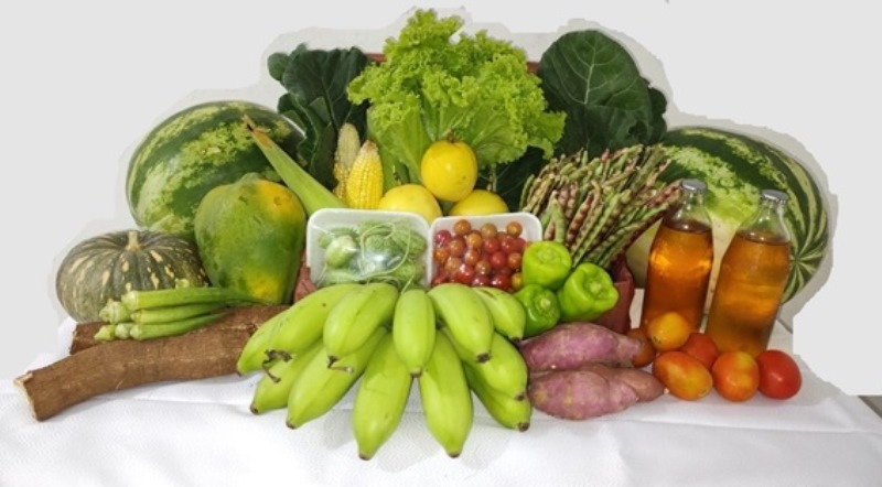 Município de Oeiras receberá R$ 480 mil com adesão ao Programa de Aquisição de Alimentos (PAA) 2024