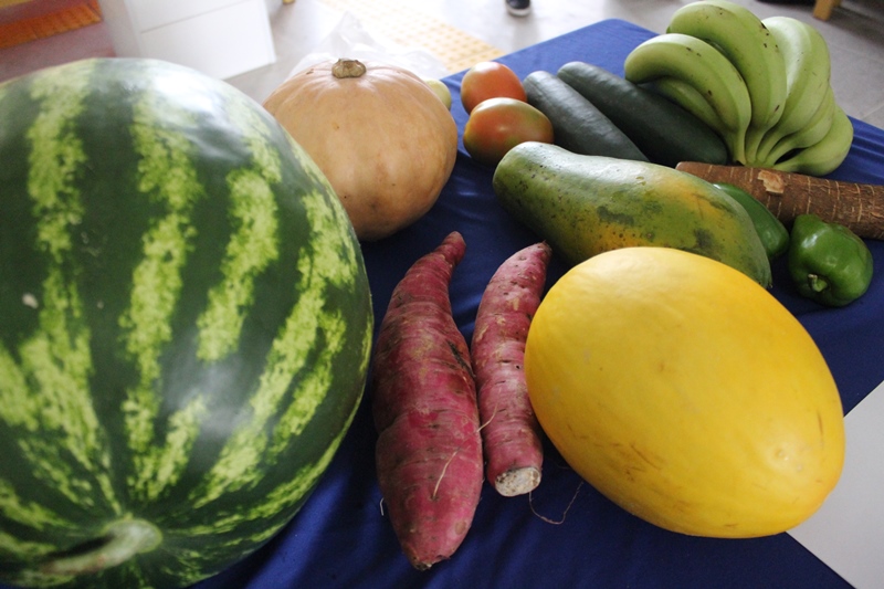 Chamada pública da Semec para alimentos da agricultura familiar encerra dia 5 de fevereiro