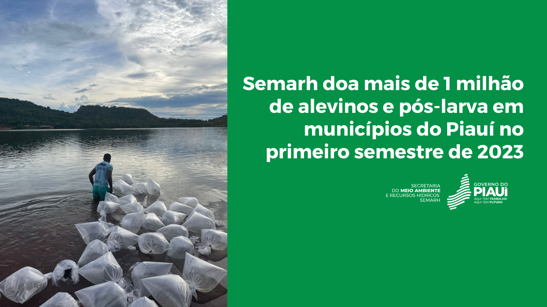 Semarh realiza doação de mais de 1 milhão de alevinos e pós-larva para 21 municípios do Piauí em 2023
