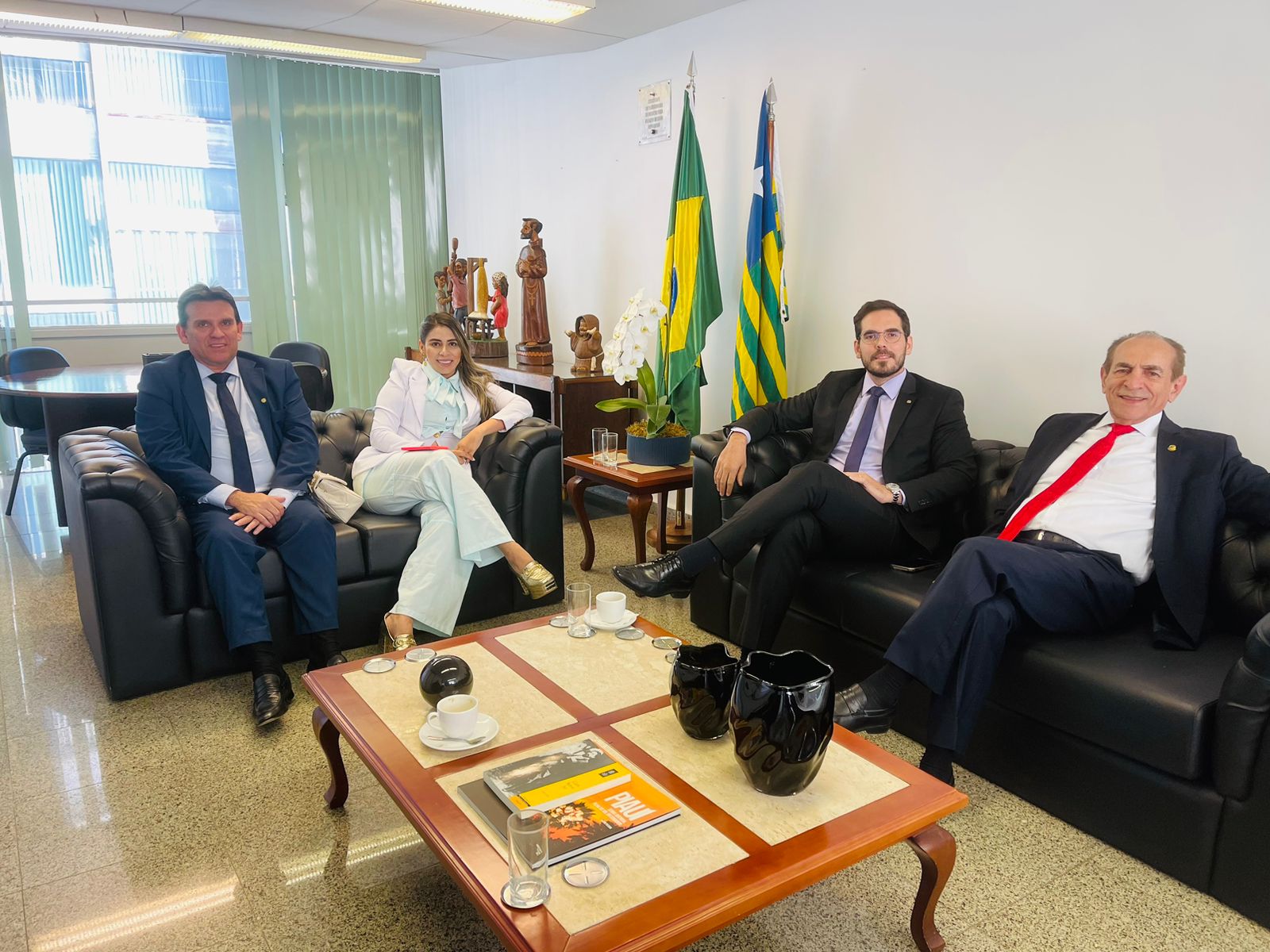 Secretária de Mineração participa de audiência em Brasília e busca desenvolvimento para o Piauí