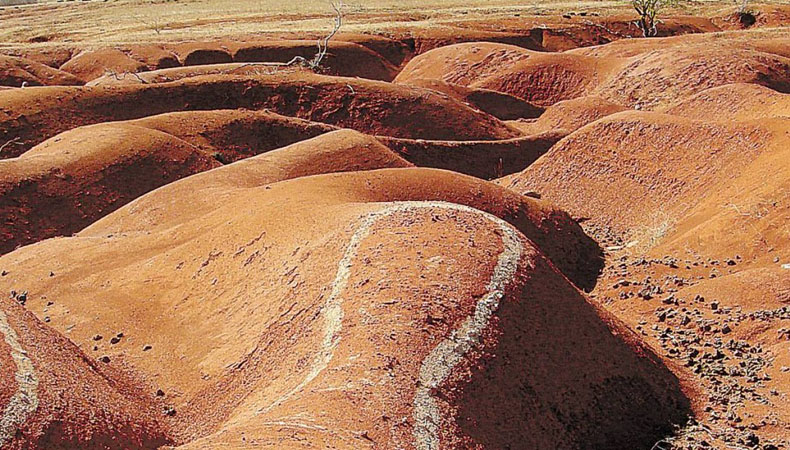 Projeto de lei que institui Política Estadual de Combate à Desertificação está na ordem do dia para votação na Alepi
