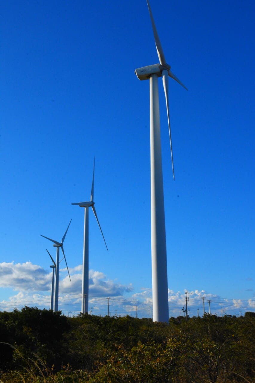 Matrizes eólica e solar são responsáveis por 95% da energia produzida no Piauí