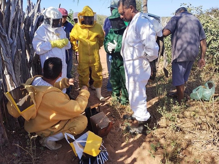 Curso leva técnicas e boas práticas para produção de mel na zona rural de Oeiras