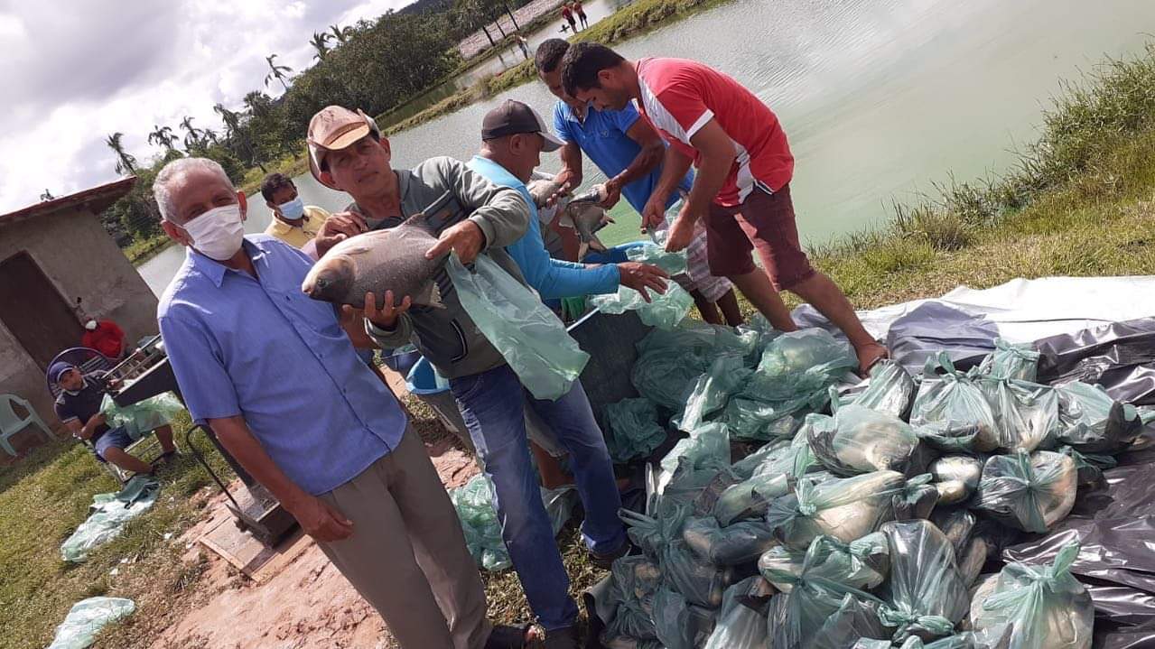 Olho D'água do Piauí realiza a tradicional entrega de peixes da semana santa