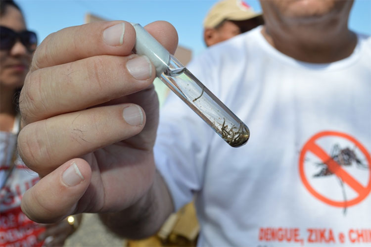 Casos de dengue crescem mais de 700% no Piauí em 2022 e Sesapi reforça alerta