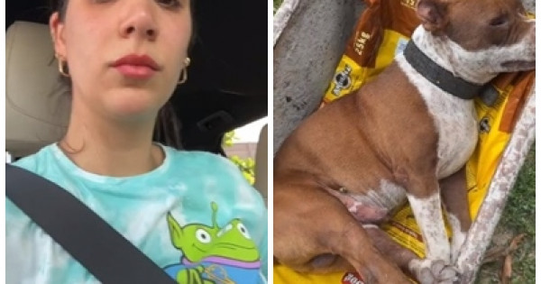 Cachorro de Thanandra Sarapatinhas é encontrado morto com sinal de envenenamento