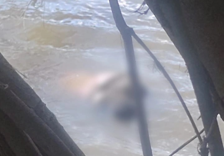 Corpo é encontrado às margens do Rio Poti em Teresina