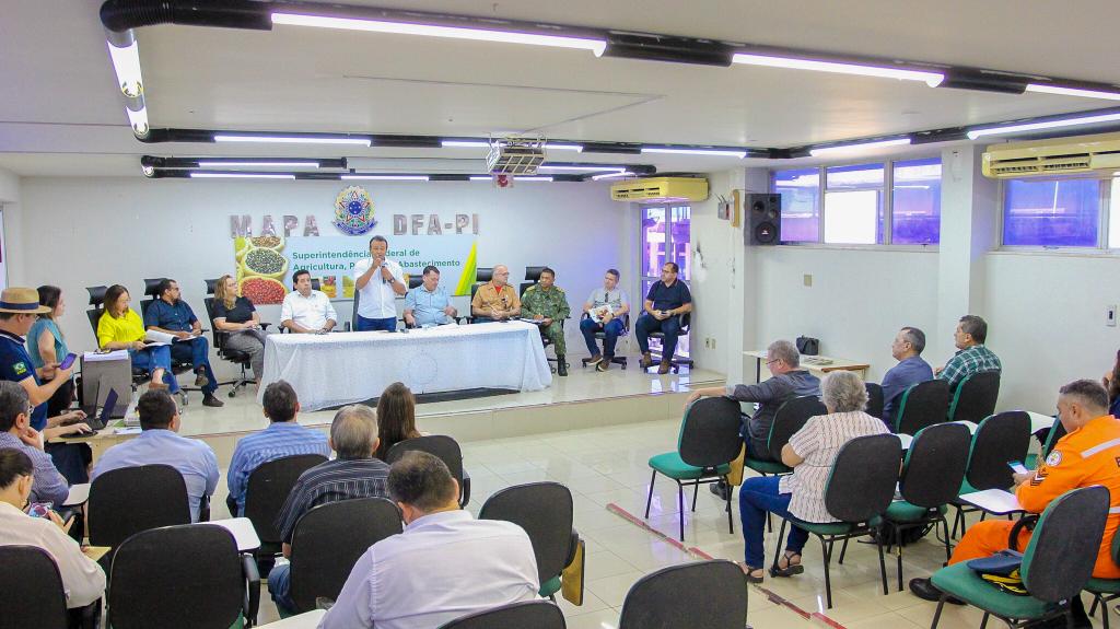 Influenza Aviária: comitê técnico vai elaborar plano de contingência no Piauí