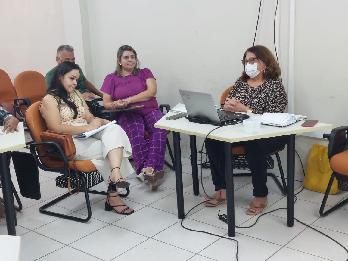 Sesapi levará oficinas para estratificação de risco materno e infantil aos territórios dos Carnaubais e Cocais