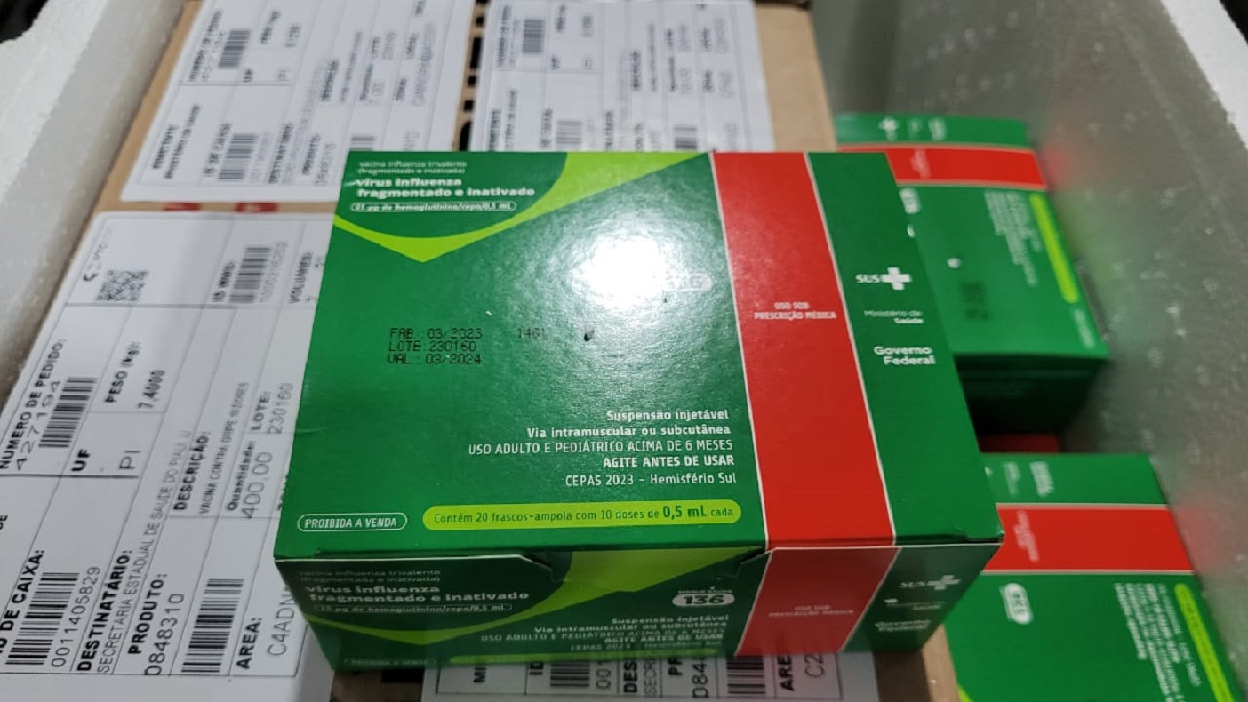 Piauí recebe 100 mil novas doses para reforçar vacinação contra a gripe