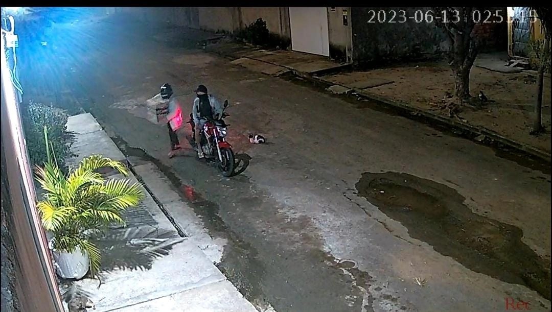 Casal é flagrado abandonando caixa com quatro filhotes de cachorro em Teresina