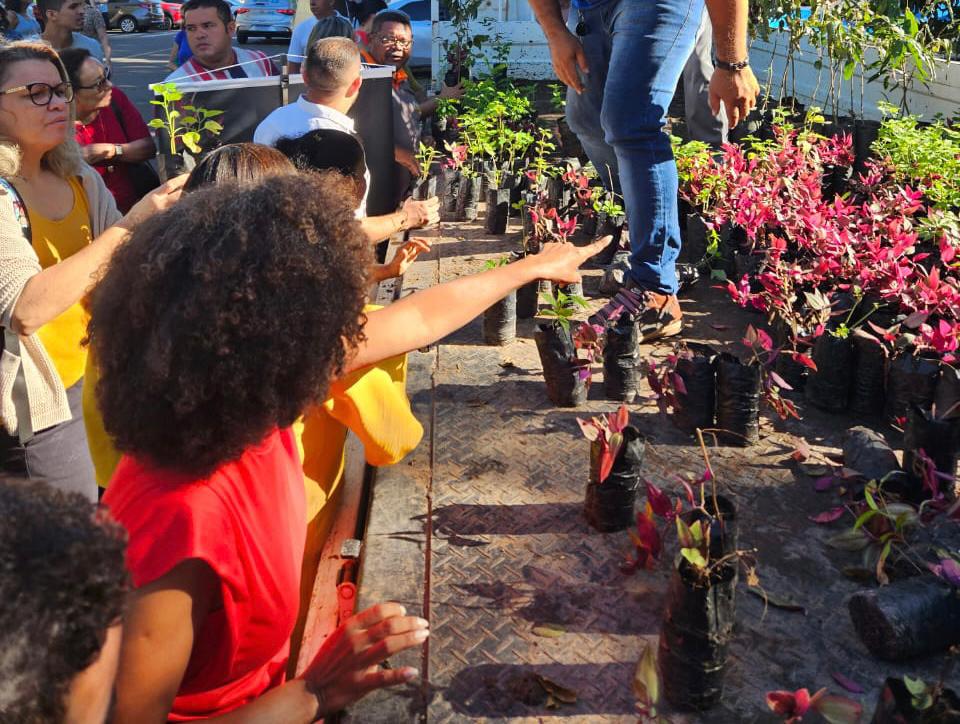 Semam distribui mais de 1000 mudas em ação ecológica da Rede Clube