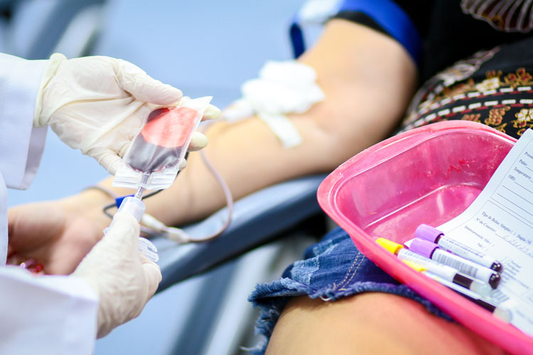 Veja como agendar doação de sangue no Hemopi pela internet