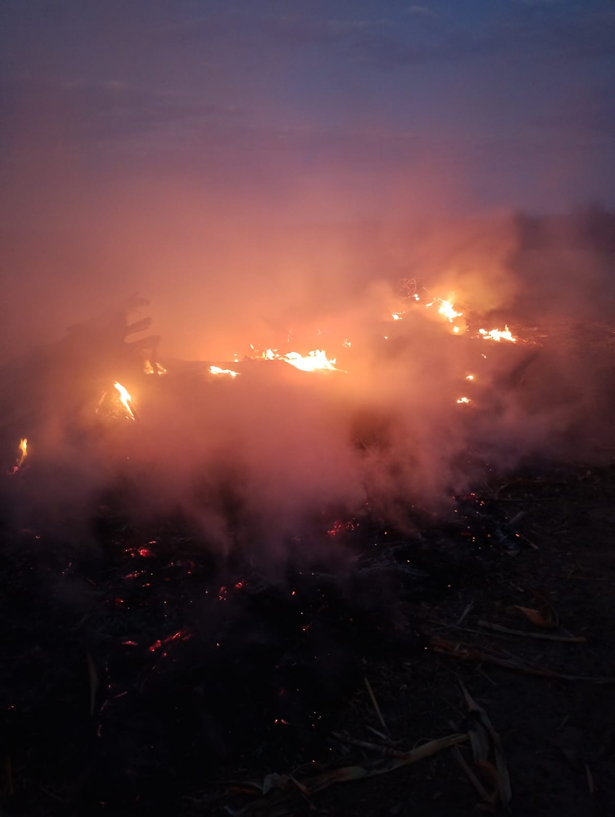 Incêndios chegam ao 9º dia e bombeiros enfrentam dificuldades em Bom Jesus